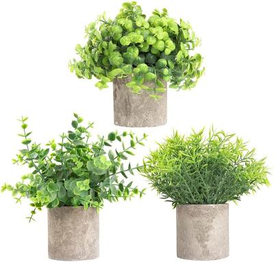 China Small Plastic Potted Artificial Plants , Artificial Rosemary White Baby Eucalyptus Plants Breathe 9.5