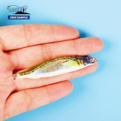 China 3D Printed Model Angler Photo Print Colors Ready To Board 63mm/30g Luminous Lure 40 Jig Metal Bait Building Lure for sale