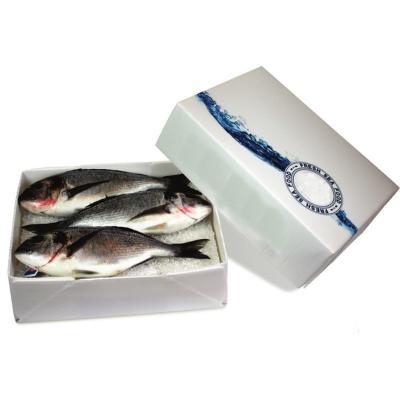 China Popular Customizable Designed PP Hollow Box Cavity Sheet For Seafood Shipping for sale