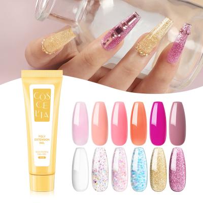 China Quick Drying Easy Apply COSCELIA Professinal Nail Supply 10ml Poly Nail Extension Gel Set Logo French Glitter Colors Custom Nail Art Beauty for sale