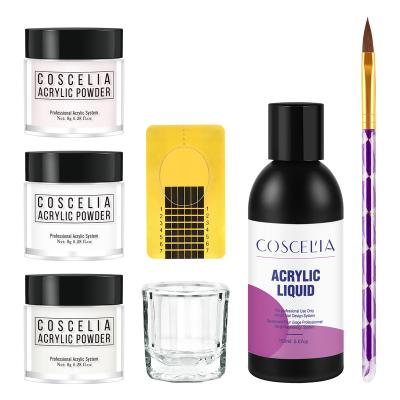 China Excellent Acrylic Nail Art Effect COSCELIA Nail Starter Kit LOW MOQ Nail Powder 150ml Acrylic Liquid Kit for sale