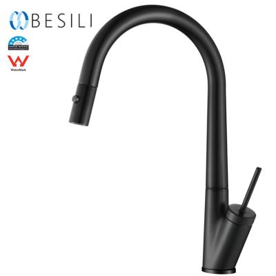 China Watermark 360 Watermark Thermostatic Faucets Water-saving Kitchen Faucet Supplement Adjustable Flexible Mixer Tap for sale