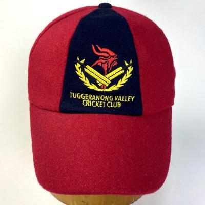 China JOINT Custom Capwindow Cricket Baggy Hats For Sale And Promotion for sale