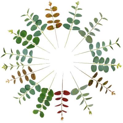 China Silk+plastic high artificial real green eucalyptus leaf head for wedding table centerpiece layouts for sale