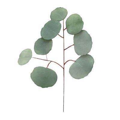 China Silk+plastic high artificial real green eucalyptus apple leaf head for wedding table centerpiece layouts for sale