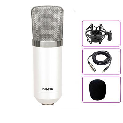 China USB Microphone Studio Microphone Karaoke Condenser Microphone with Microphone Stand for sale