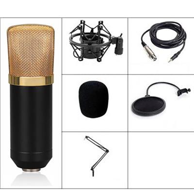 China USB Microphone Streaming Microphone Karaoke Recording Microphone With Microphone Stand for sale