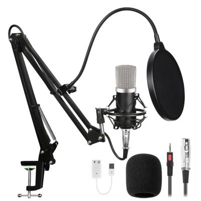 China Dual USB Microphone Studio High Quality Professional Condenser Microphone Cardioid Desktop Kits for sale