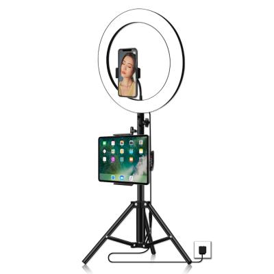 China Photogrphy 36cm/14inch Ring Light Kit Ring Light with Tripod Adjustable Stand Live Makeup Ring Light for tik tok Youtube live stream for sale