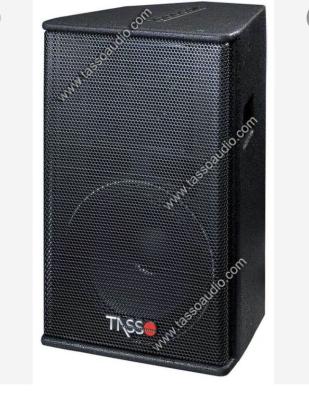 China Tasso PS12 Professional audio karaoke system DJ line array audio sound system for club KTV for sale