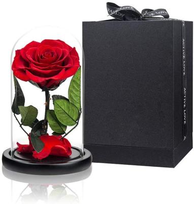 China Celebration 12*20cm Preserved Flower Box High Quality Luxury Preserved Forever Fresh Rose In Glass Dome for sale