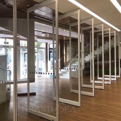 China Magnetic commercial custom aluminum front door pivot modern exterior glass door for sale