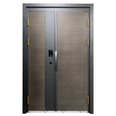 China High quality stainless steel modern door japanese style home front door villa entry door for sale