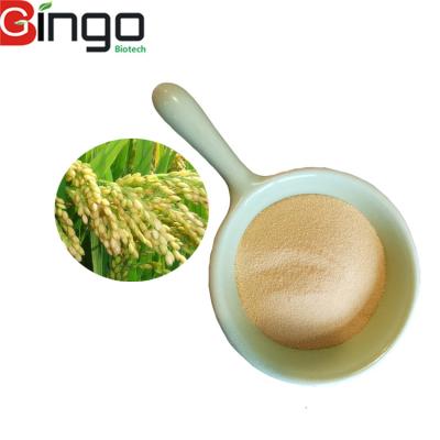 China Natural High Quality Food Grade Rice Protein Peptide For Supplements for sale