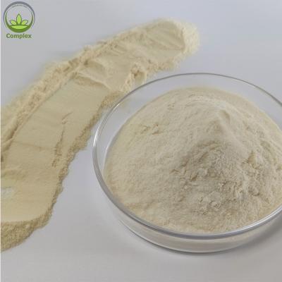 China Wholesale Whey Protein Isolate Whey Protein Powder for sale