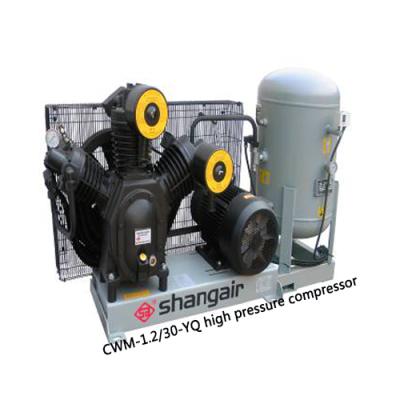 China Building Material Shops CWM-1.2/30-YQ High Pressure Compressor For Blowing Machine for sale