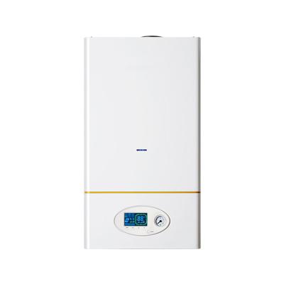 China Household Quick Delivery Home Heating System Wall Hung Gas Boiler for sale