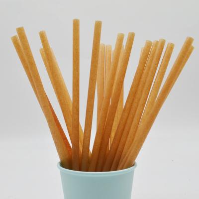 China Stand Up Food Grade High Temperature Biodegradable 100% Sugarcane Straw for sale