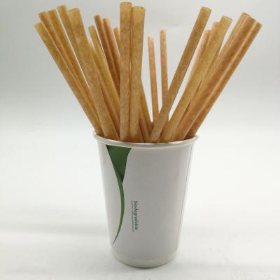 China Stand Up Fashion 100% Biodegradable High Temperature Biodegradable Fiber Straw For Party for sale