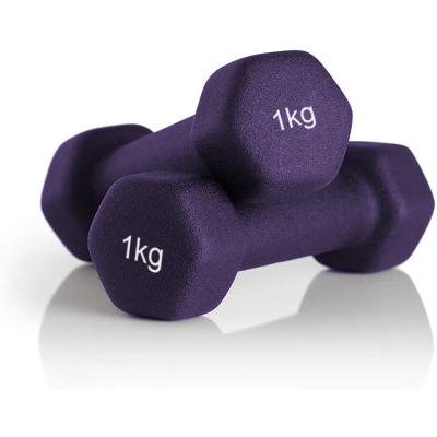 China Home use 1kg basics neoprene dumbbell hand weight/fitness/yoga/best tool for loss your weight/slim arm for sale