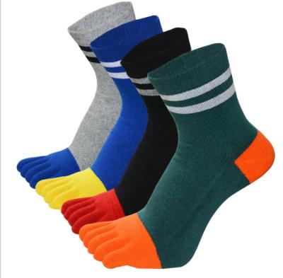 China Custom Padded Sports Knee Socks With Five Fingers For Men Winter OEM ODM Athletics Long Thick Socks Men for sale