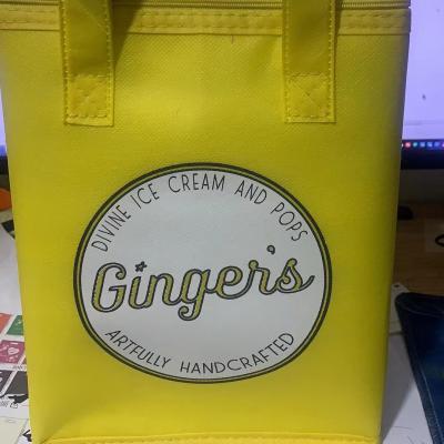 China Customized Color Non Woven Insulating Lunch Cooler Shopping Bag for Picnic Ice cream Pack for sale