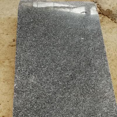 China Traditional Floor Wall Tiles G654 Granite Stone Professional Sesame Impala Black 60*60cm G-ZA00H Polished Traditional Cut-to-size NC; GUA for sale