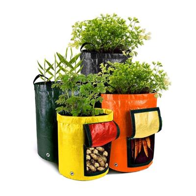 China Economical 7/10 Gal Potato Planting Cultivation Garden Vegetable Grow PE Planter Bag With Access Flap for sale