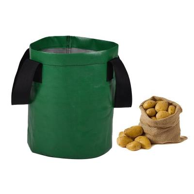 China Economical grow bag window tomato planter bags pot/thick PE potato grow bags with handles for sale