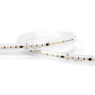 China New garden products waterproof every 10cm 110/220V high voltage cutiing led strips for sale