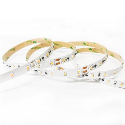 China Theme park led strip lights SMD2835 60leds/m DC5/12/24V led strip light waterproof constant current led strip for sale