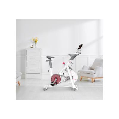 China Use at Home EU Warehouse 2021 One Set Drop Shipping Yesoul S3 Smart Spinning Bike Exercise Fitness Without Screen Commercial Gym for sale