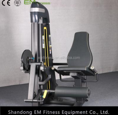 China Multi Functional Precor Fitness Gym Equipment , Dezhou Fitness Equipment Leg Extension for sale