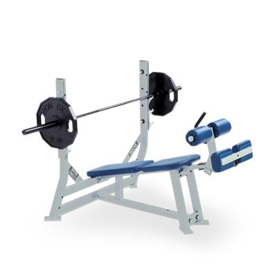 China Hot Sales Drop Exercise Muscle Bench Loaded Gym Fitness Equipment / Hammer Strength Machine EM958 Dezhou for sale