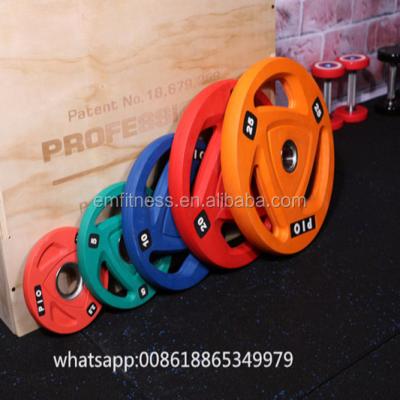 China Fitness Accessories Good Quality Fitness Center Gym Rubber Dishes/Weight Dishes/Barbell for sale