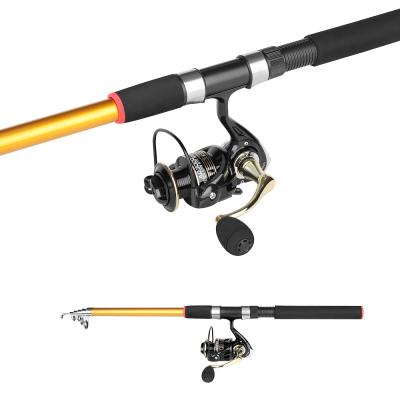 China Outdoor Sports Fishing Hot Sale Bass Spinning Rod Reel Combo Haroi Telescopic Fishing Rod and Reel Kit Set with Bait Set for sale