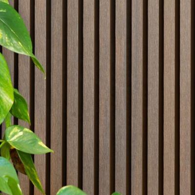 China European WPC Wall Coating Co-Extrusion Exterior Composite Weather Long Life Anti-UV Anti-Rot for sale