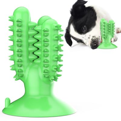 China Viable Professional Dog Toothbrush Cactus Quality Manufacturing Puzzle Interactive Dog Toy Dog Tooth Cleaning Stick for sale