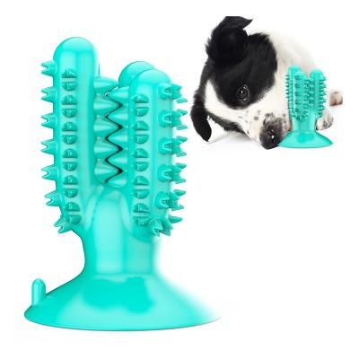 China Various Popular Dog Chew Toy Cactus Shape Pet Sucker Toy Dog Toothbrush Sustainably Manufactured Factory for sale