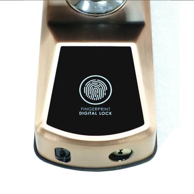 China New Fingerprint password/fingerprint face recognition lock /APP password/Kkey/swipecard/temporary password induction lock home anti-theft door for sale