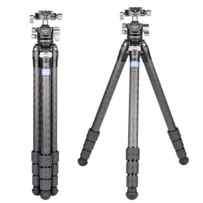 China Professional CAVIX Carbon Fiber PORTABLE Tripod 4 Section Heavy Duty Travel Tripod With Tripod Ball Head For Dslr Camera for sale