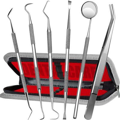 China Teeth Using 4 Dental Tartar Scraper Scaler Calculus Plaque Remover Tool Kit Instruments Dentist Teeth Cleaning Tool Oral Care Tool for sale