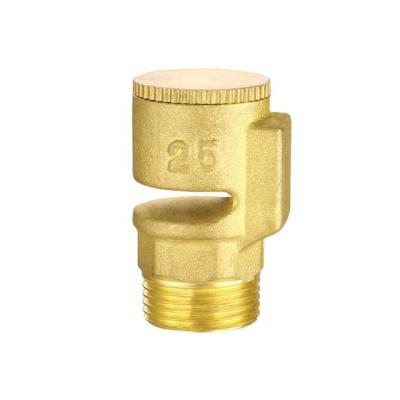 China Home Kitchen Cheap Brass DN20 Vacuum Breaker Valve for sale