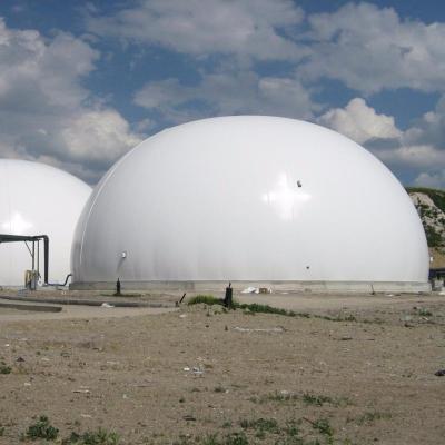 China Biogas Holder BSL Dual Membrane Biogas Storage Balloon Gas Tank for sale