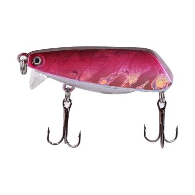 China Outdoor Activities Fishing Saltwater Minnow Lure Floating Plastic Hard Minnow With Long Tongue for sale