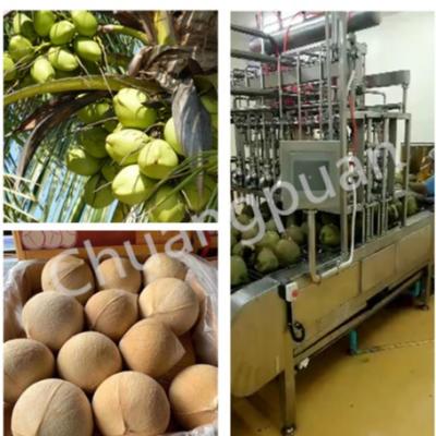 China Normal Temperature Coconut Water Extraction Machine 0.5-25T/H for sale