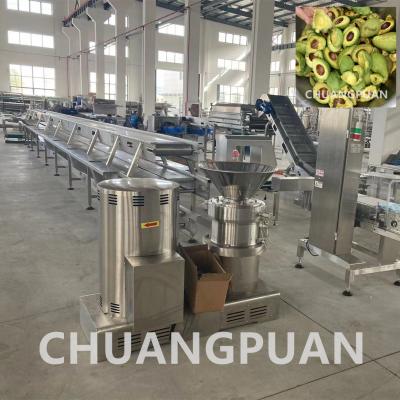 China HPP Avocado Pulp Jam Maker Machine voor 1 - 5T/Uur Capaciteit en Productielijn Te koop