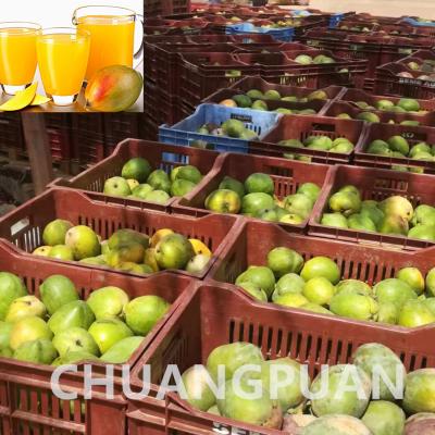 China 20 - 150KW Mango-Zellstoff-Produktions-Verarbeitungslinie mit Edelstahlmaterial zu verkaufen