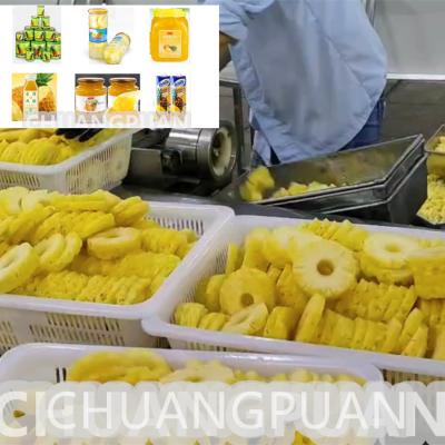 China Línea de producción de piña cortada en tiras enlatada SS304 personalizada Capacidad 0,5-15T/H en venta