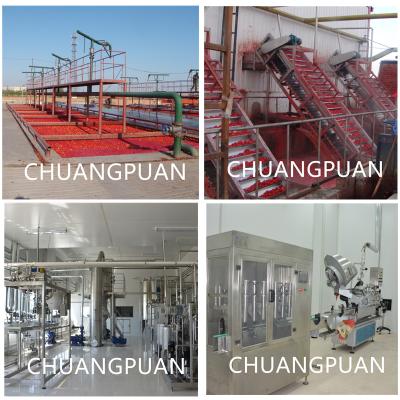 China Advanced Customized 110-520kw Tomato Paste Processing Line 1-50T/H Filling Speed Automatic System for sale